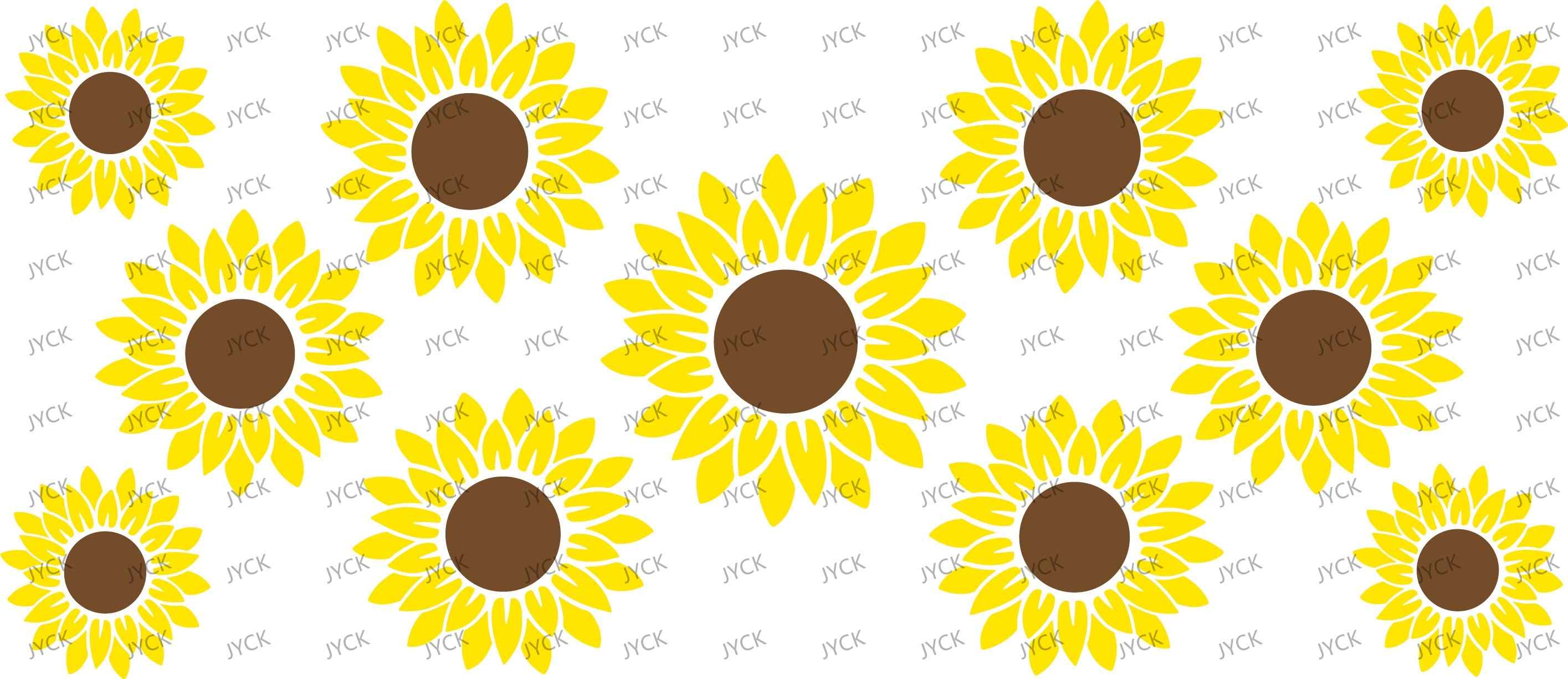 Y28095